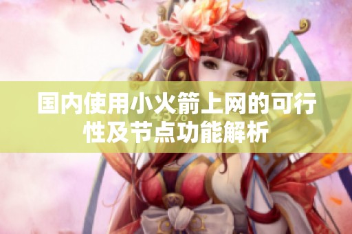 国内使用小火箭上网的可行性及节点功能解析