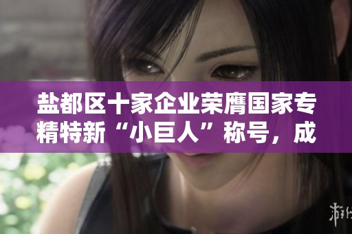 盐都区十家企业荣膺国家专精特新“小巨人”称号，成就卓越