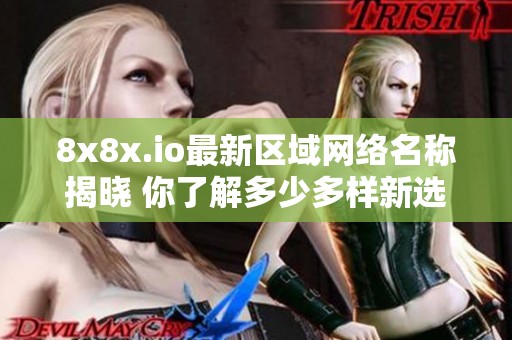 8x8x.io最新区域网络名称揭晓 你了解多少多样新选择