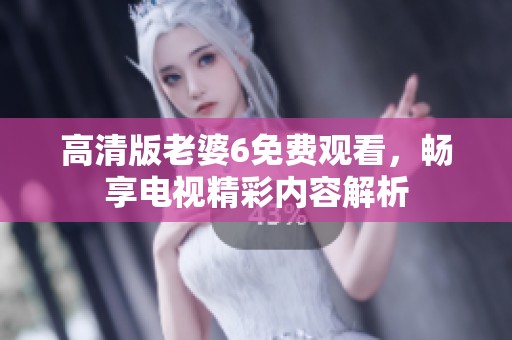 高清版老婆6免费观看，畅享电视精彩内容解析