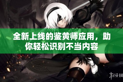 全新上线的鉴黄师应用，助你轻松识别不当内容