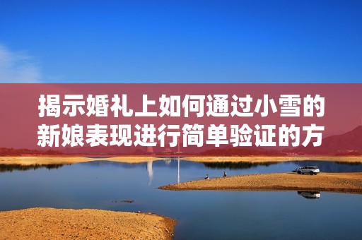 揭示婚礼上如何通过小雪的新娘表现进行简单验证的方法