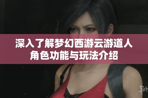 深入了解梦幻西游云游道人角色功能与玩法介绍
