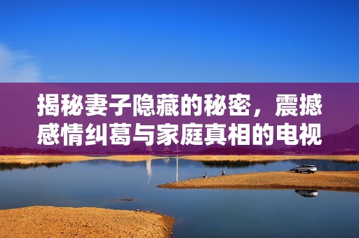 揭秘妻子隐藏的秘密，震撼感情纠葛与家庭真相的电视剧大全