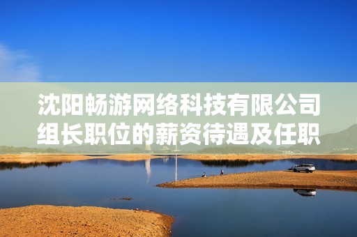 沈阳畅游网络科技有限公司组长职位的薪资待遇及任职要求解析