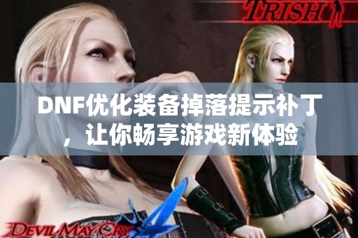 DNF优化装备掉落提示补丁，让你畅享游戏新体验