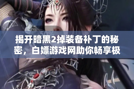 揭开暗黑2掉装备补丁的秘密，白嫖游戏网助你畅享极致游戏体验