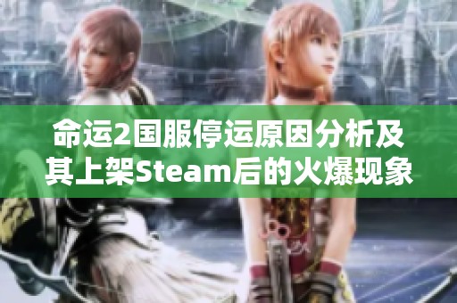 命运2国服停运原因分析及其上架Steam后的火爆现象解读