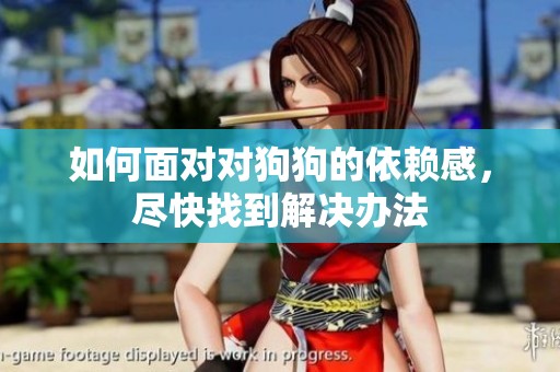 如何面对对狗狗的依赖感，尽快找到解决办法