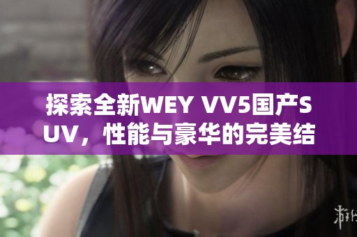 探索全新WEY VV5国产SUV，性能与豪华的完美结合