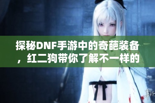 探秘DNF手游中的奇葩装备，红二狗带你了解不一样的玩法！