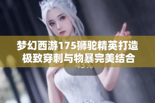 梦幻西游175狮驼精英打造 极致穿刺与物暴完美结合