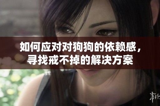 如何应对对狗狗的依赖感，寻找戒不掉的解决方案