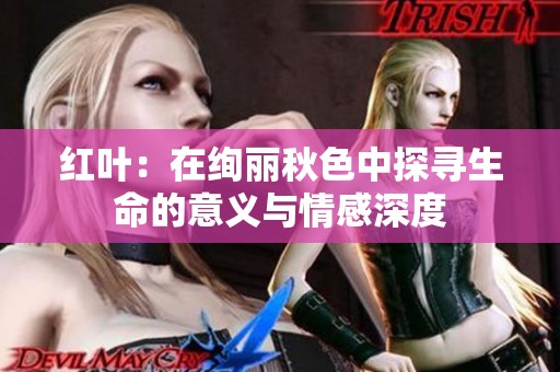 红叶：在绚丽秋色中探寻生命的意义与情感深度