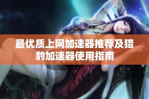 最优质上网加速器推荐及猎豹加速器使用指南