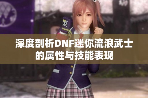 深度剖析DNF迷你流浪武士的属性与技能表现