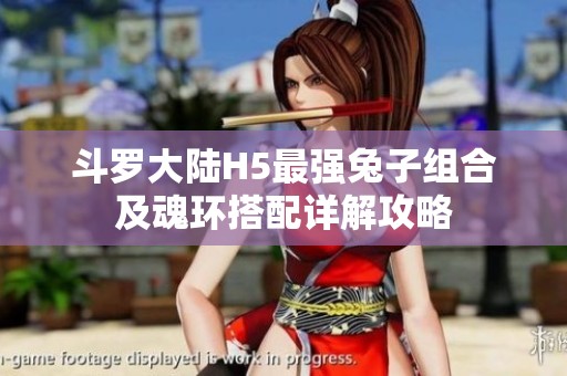 斗罗大陆H5最强兔子组合及魂环搭配详解攻略
