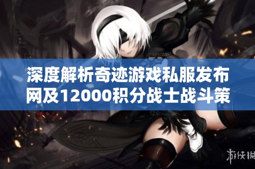 深度解析奇迹游戏私服发布网及12000积分战士战斗策略