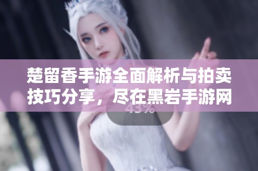 楚留香手游全面解析与拍卖技巧分享，尽在黑岩手游网