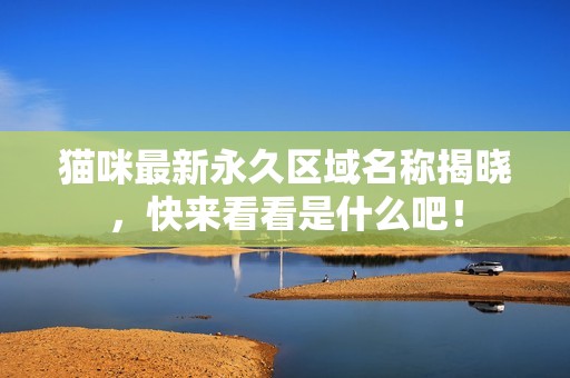 猫咪最新永久区域名称揭晓，快来看看是什么吧！