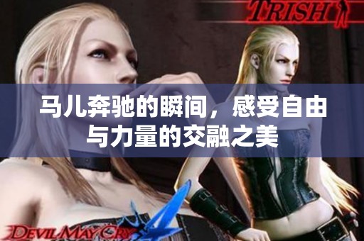 马儿奔驰的瞬间，感受自由与力量的交融之美