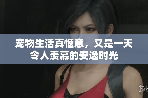 宠物生活真惬意，又是一天令人羡慕的安逸时光