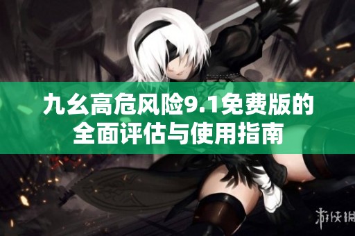 九幺高危风险9.1免费版的全面评估与使用指南