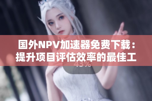 国外NPV加速器免费下载：提升项目评估效率的最佳工具