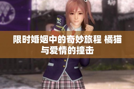 限时婚姻中的奇妙旅程 橘猫与爱情的撞击