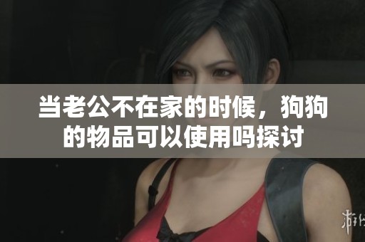 当老公不在家的时候，狗狗的物品可以使用吗探讨