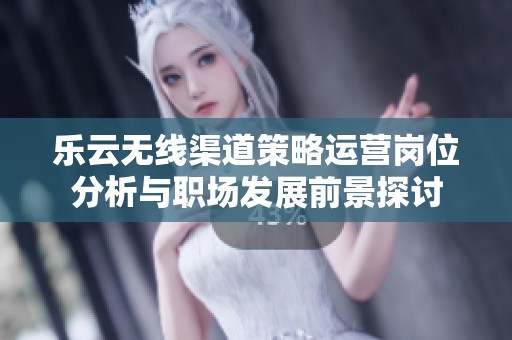 乐云无线渠道策略运营岗位分析与职场发展前景探讨