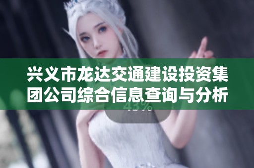 兴义市龙达交通建设投资集团公司综合信息查询与分析