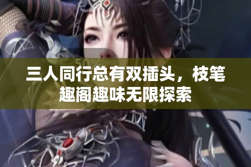 三人同行总有双插头，枝笔趣阁趣味无限探索
