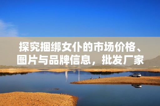 探究捆绑女仆的市场价格、图片与品牌信息，批发厂家推荐