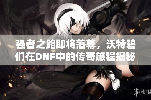 强者之路即将落幕，沃特碧们在DNF中的传奇旅程揭秘