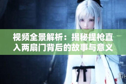 视频全景解析：揭秘提枪直入两扇门背后的故事与意义