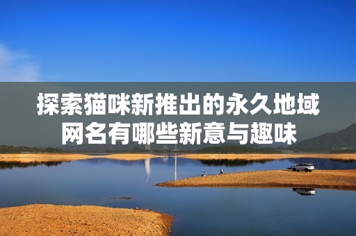 探索猫咪新推出的永久地域网名有哪些新意与趣味