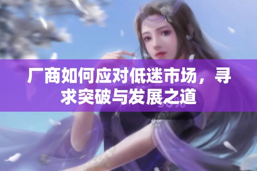厂商如何应对低迷市场，寻求突破与发展之道