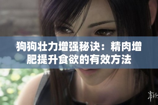 狗狗壮力增强秘诀：精肉增肥提升食欲的有效方法