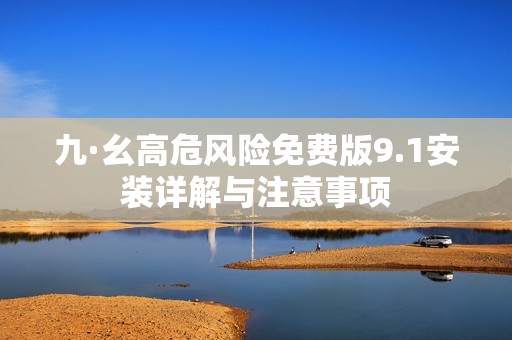 九·幺高危风险免费版9.1安装详解与注意事项