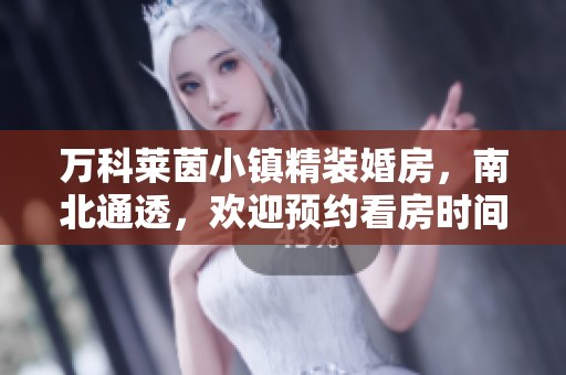 万科莱茵小镇精装婚房，南北通透，欢迎预约看房时间！