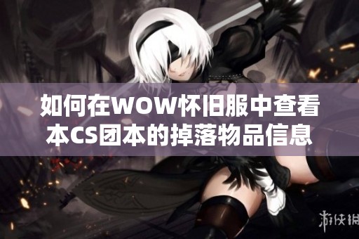 如何在WOW怀旧服中查看本CS团本的掉落物品信息