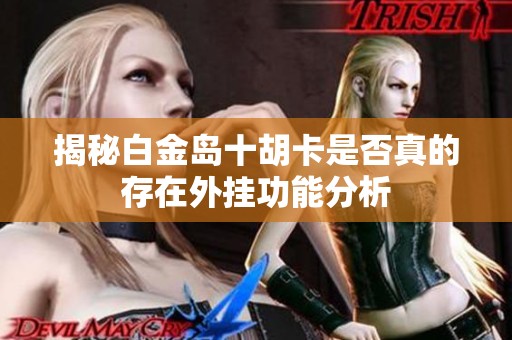 揭秘白金岛十胡卡是否真的存在外挂功能分析