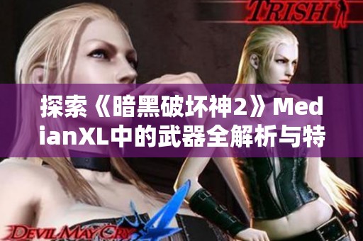 探索《暗黑破坏神2》MedianXL中的武器全解析与特点揭秘