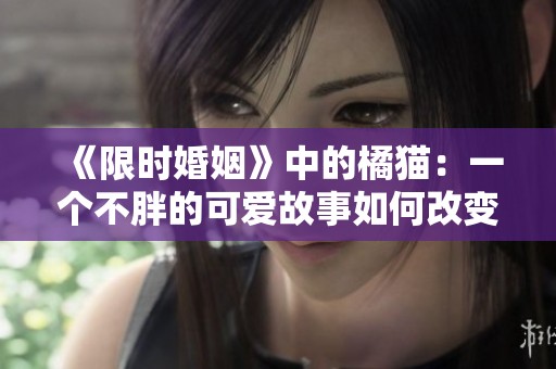 《限时婚姻》中的橘猫：一个不胖的可爱故事如何改变人生