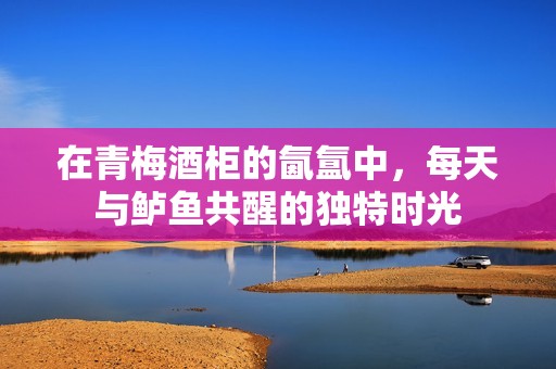 在青梅酒柜的氤氲中，每天与鲈鱼共醒的独特时光
