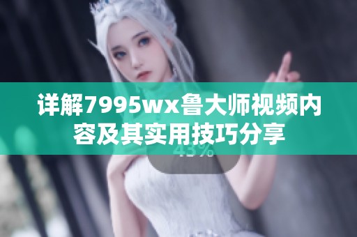 详解7995wx鲁大师视频内容及其实用技巧分享