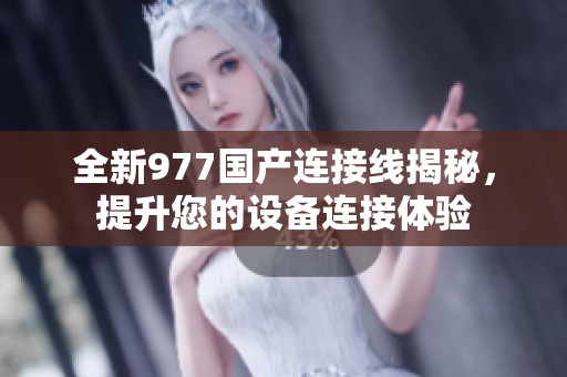 全新977国产连接线揭秘，提升您的设备连接体验