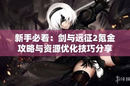 新手必看：剑与远征2氪金攻略与资源优化技巧分享