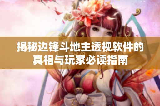 揭秘边锋斗地主透视软件的真相与玩家必读指南